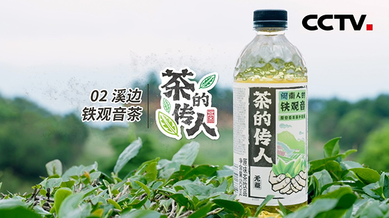 茶的传人纪录片